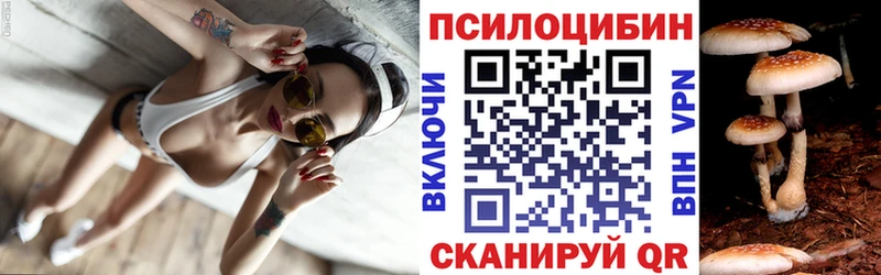 Галлюциногенные грибы Cubensis  продажа наркотиков  Александровск-Сахалинский 
